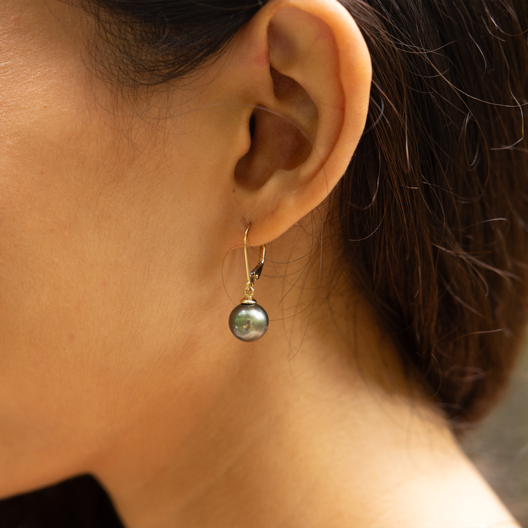 金のタヒチの黒真珠のイヤリング - 9-10mm