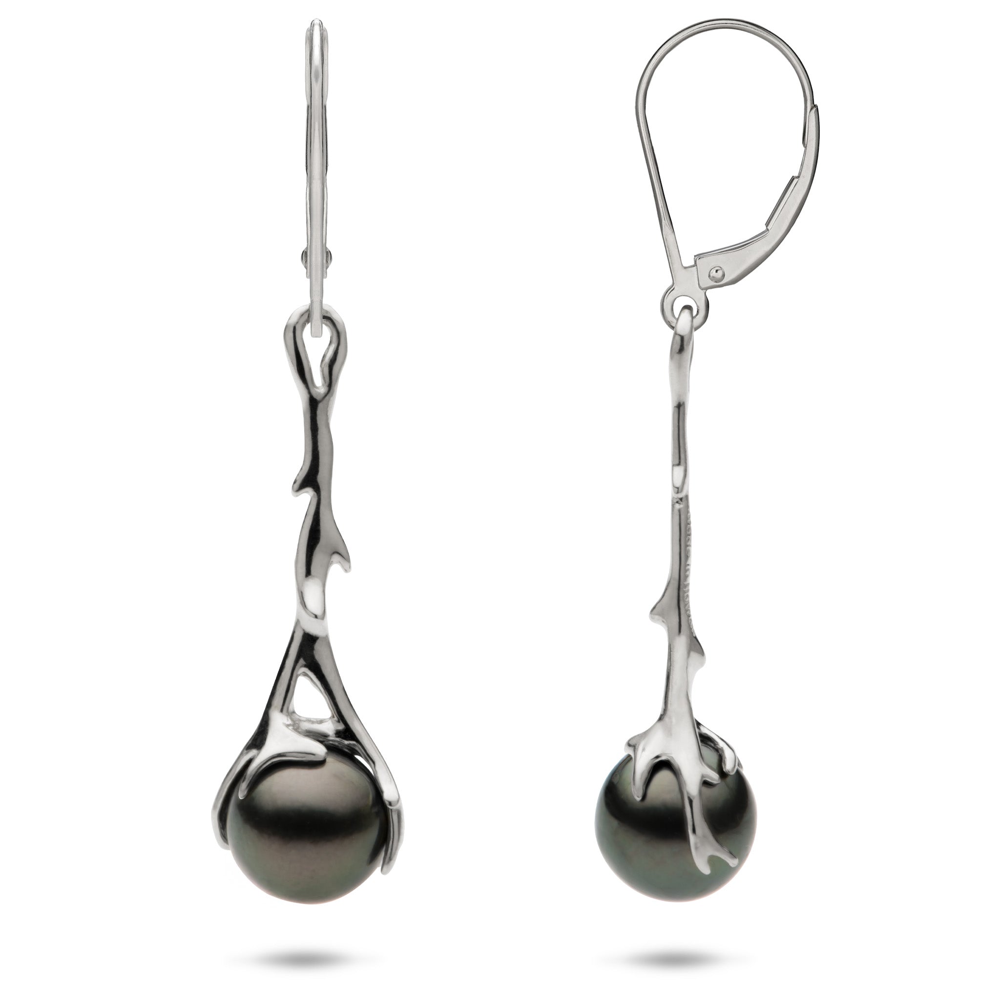 Heritage 9-10mm Tahitian Black Pearl Leverback Earrings in 14k White Gold on a white background