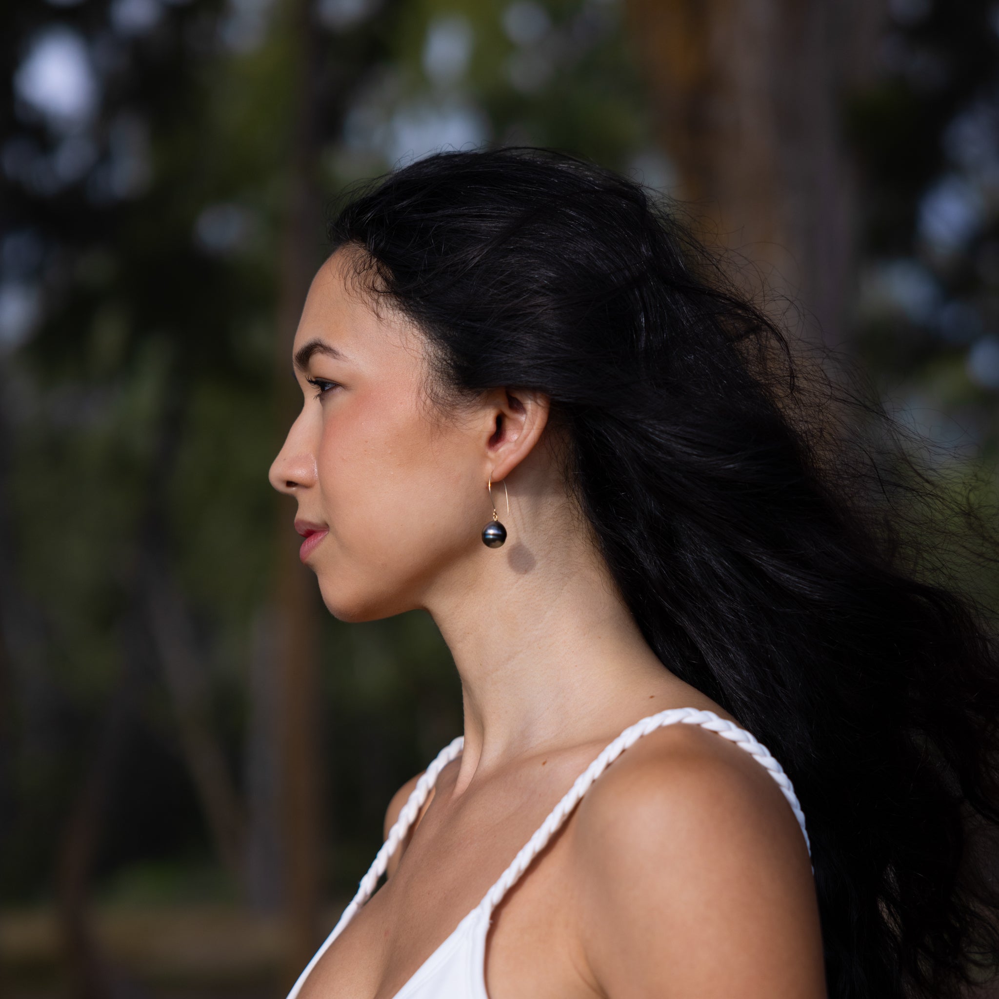 Tahitian Black Circle Pearl Earrings in Gold - 12-15mm