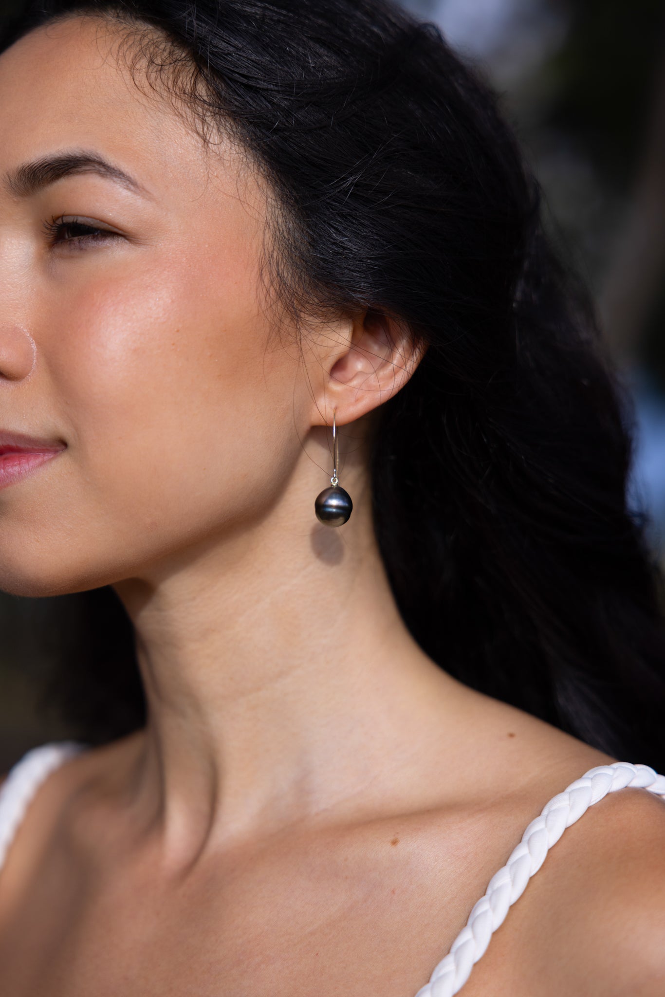 Tahitian Black Circle Pearl Earrings in Gold - 12-15mm