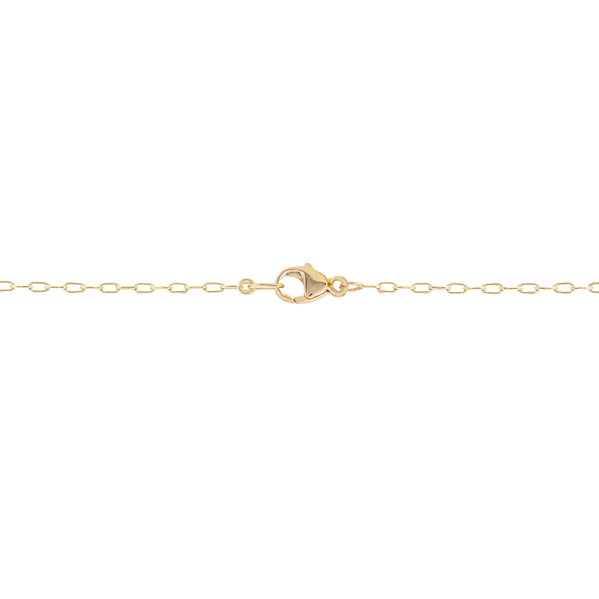 Detail shot of a cable chain with a lobster claw clasp, shown on a white background