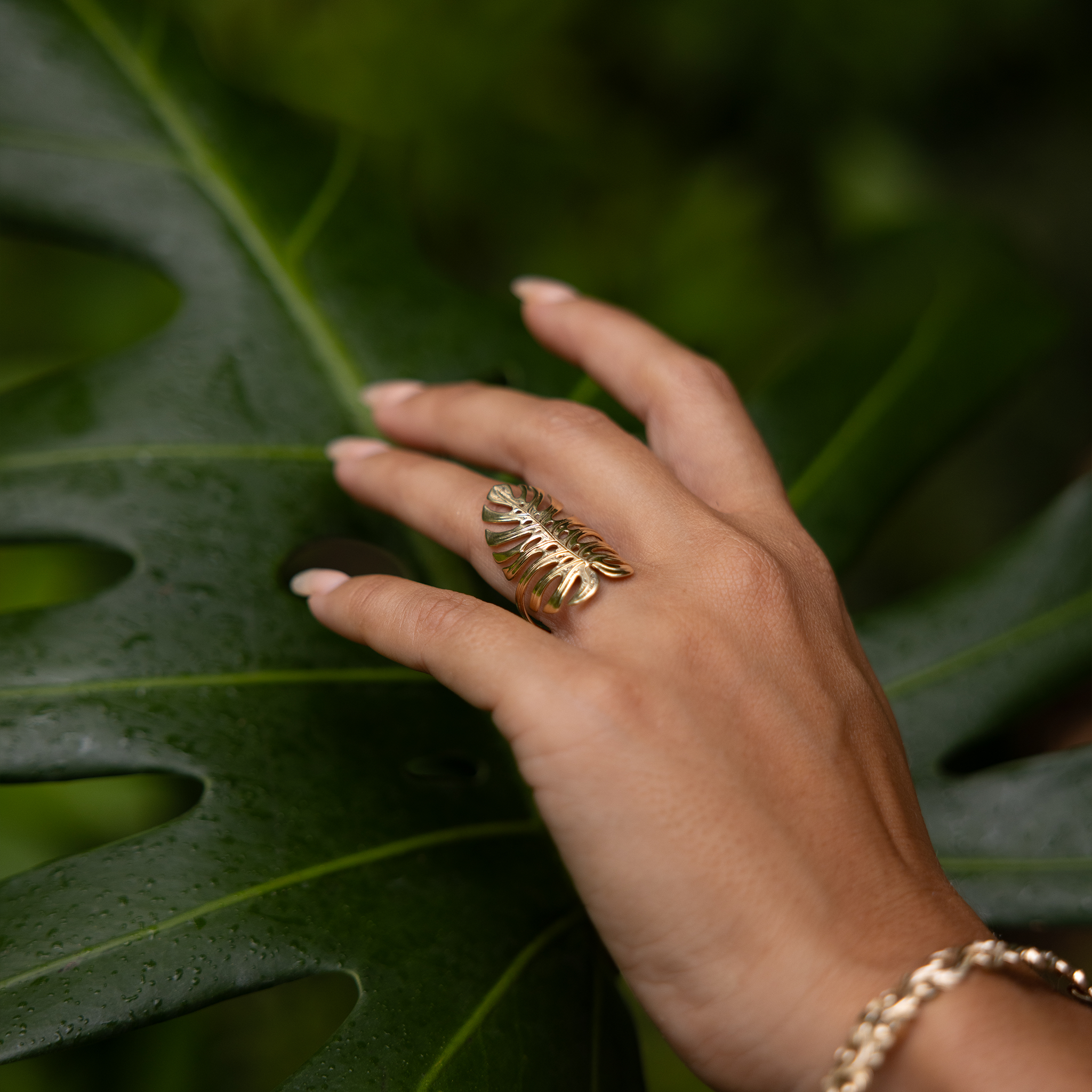 Close up of a 30mm Monstera Ring in Gold on a hand placed over a large monstera leaf