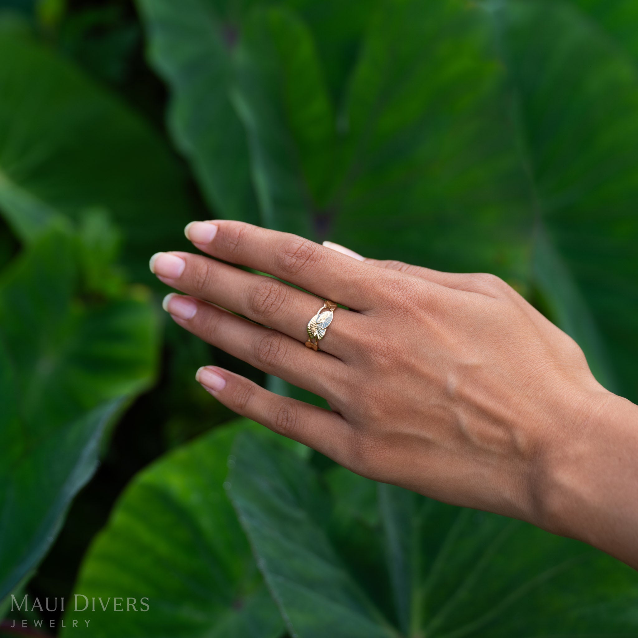 Kalo Ring in Gold - 8mm