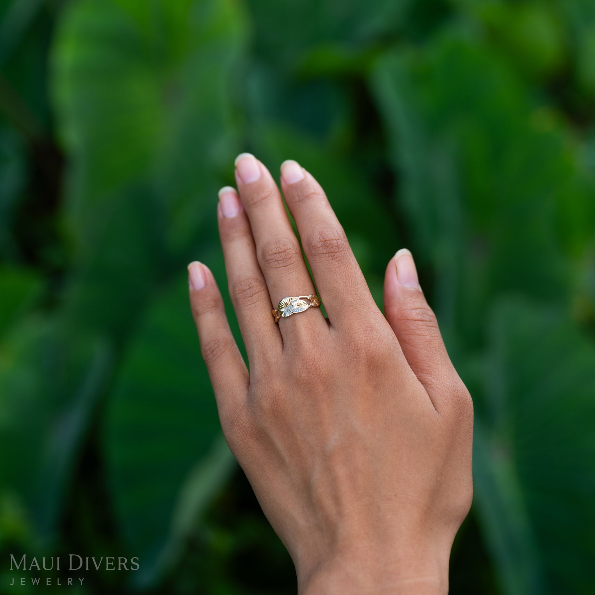 8mm Kalo Ring in Gold on a hand with Kalo leaves in the background