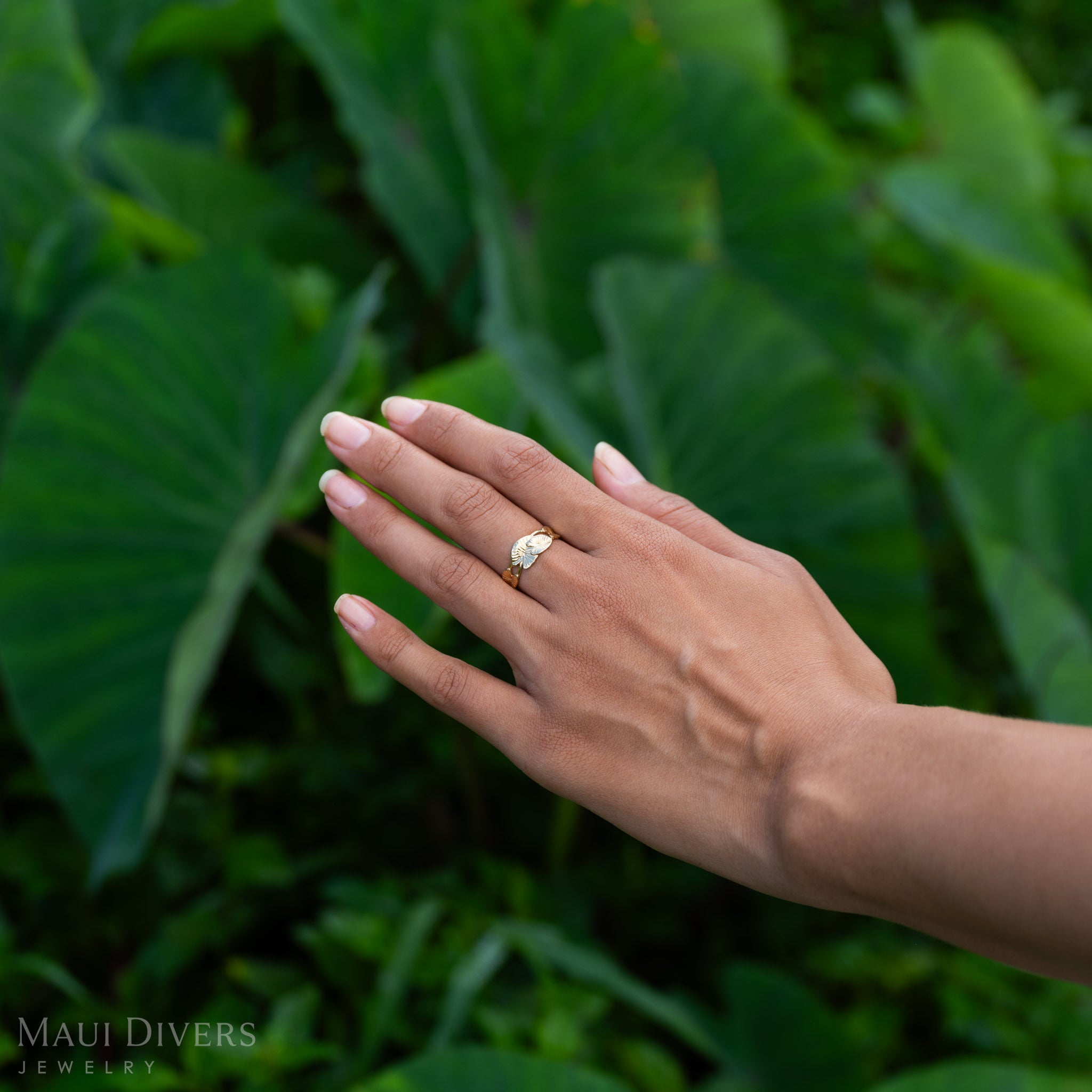 8mm Kalo Ring in Gold on a hand with Kalo leaves in the background