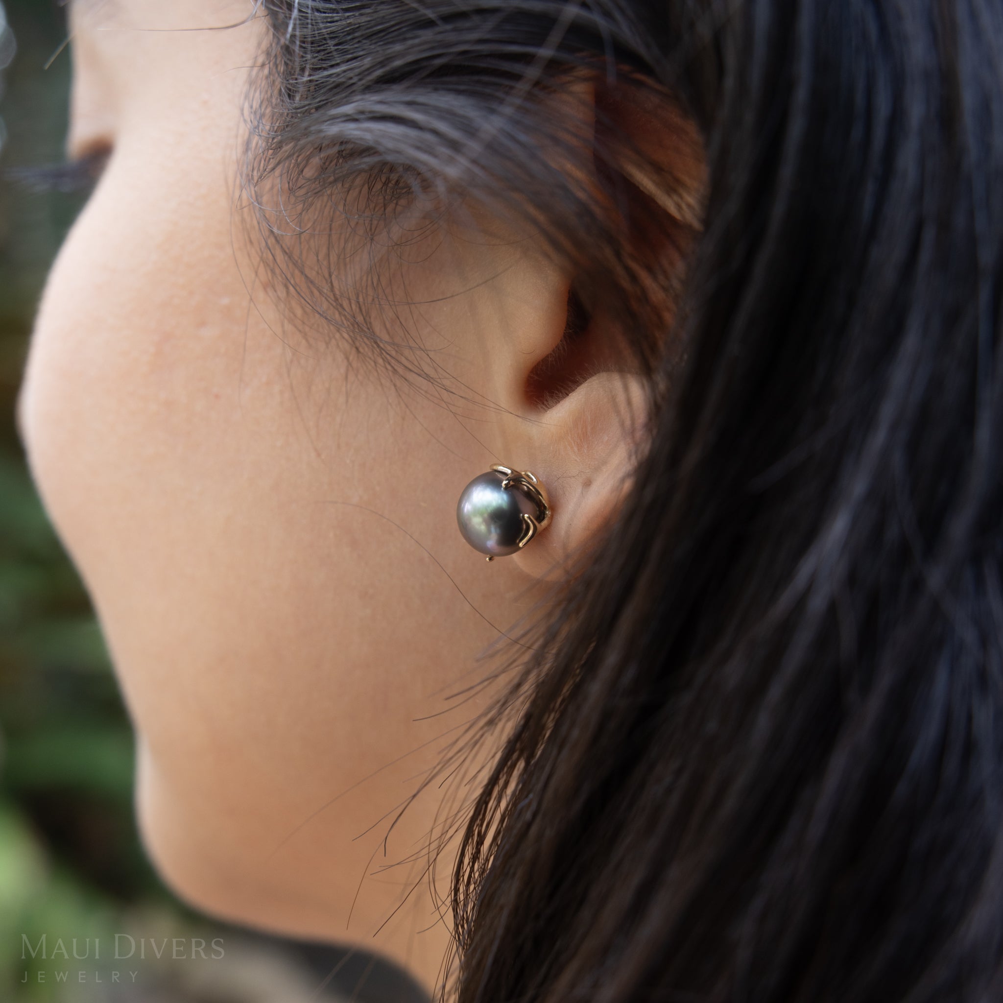 Heritage Tahitian Pearl earrings in Gold -9-10mm
