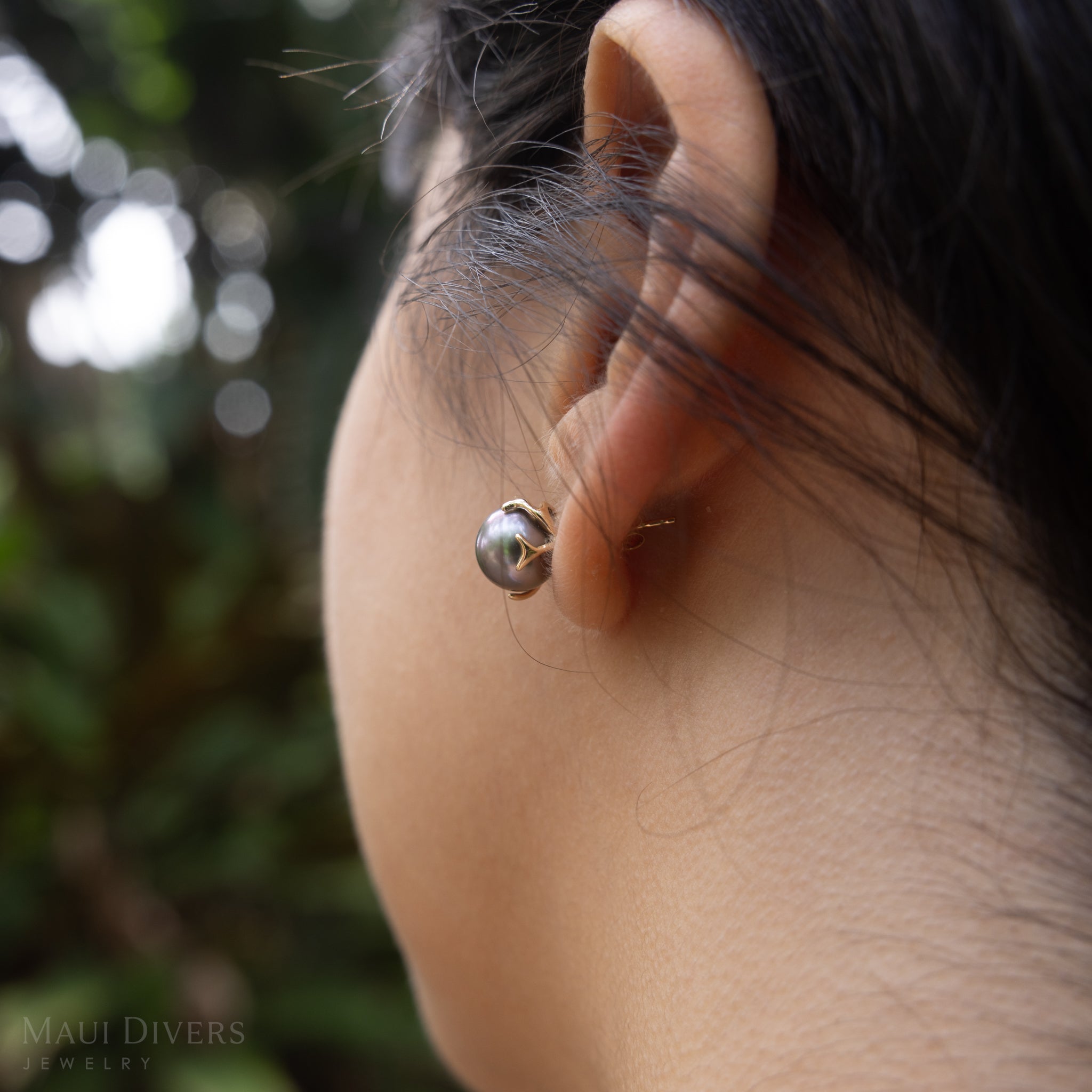 Heritage Tahitian Pearl earrings in Gold -9-10mm