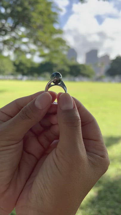 Tahitian Black Pearl Ring in White Gold - 10-11mm