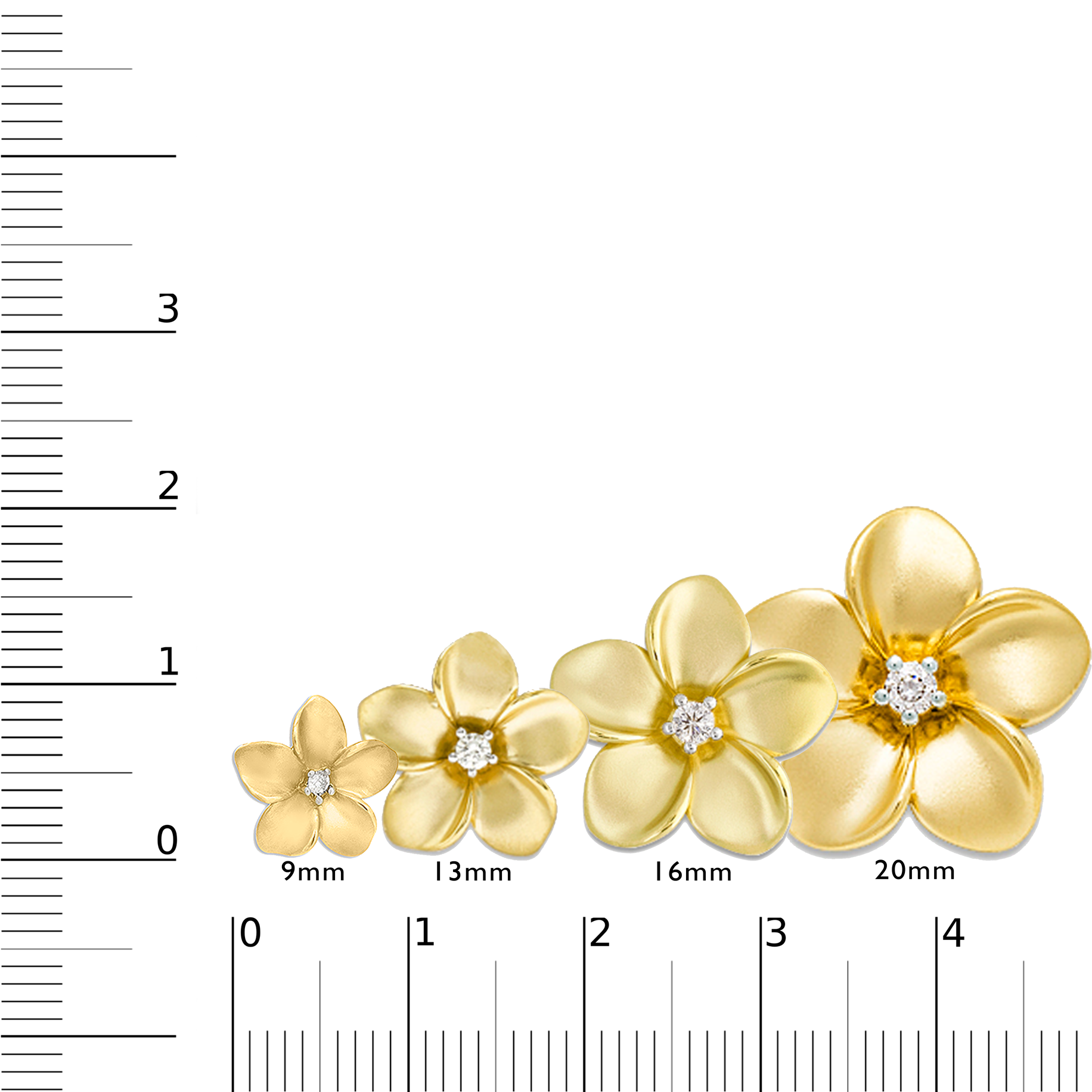 Gold Puffy Plumeria Pendants Scaled on Ruler - Maui Divers Jewelry