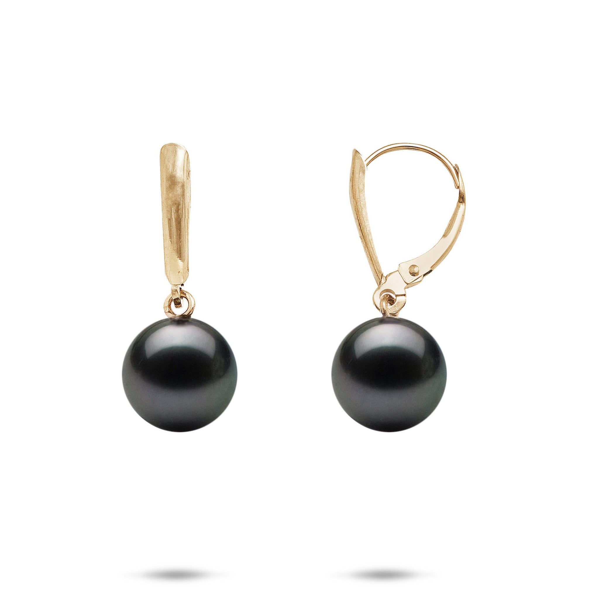 Tahitian Black Pearl Earrings in Gold - 9-10mm