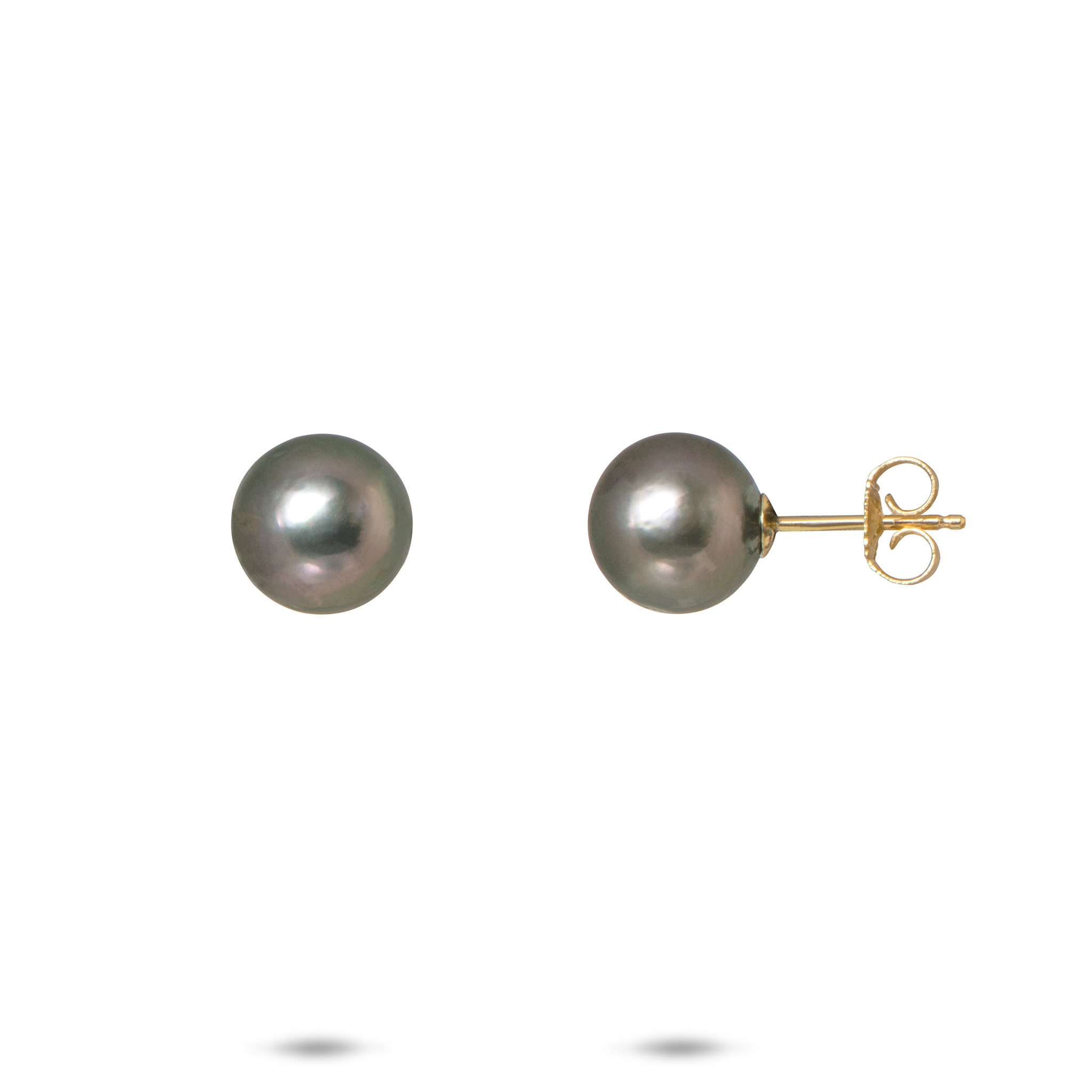 金のタヒチの黒真珠のイヤリング -  8-9mm