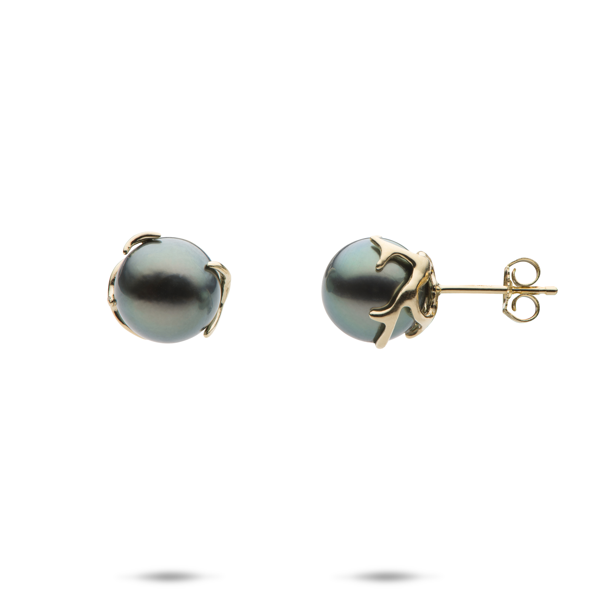 Heritage Tahitian Pearl earrings in Gold -9-10mm