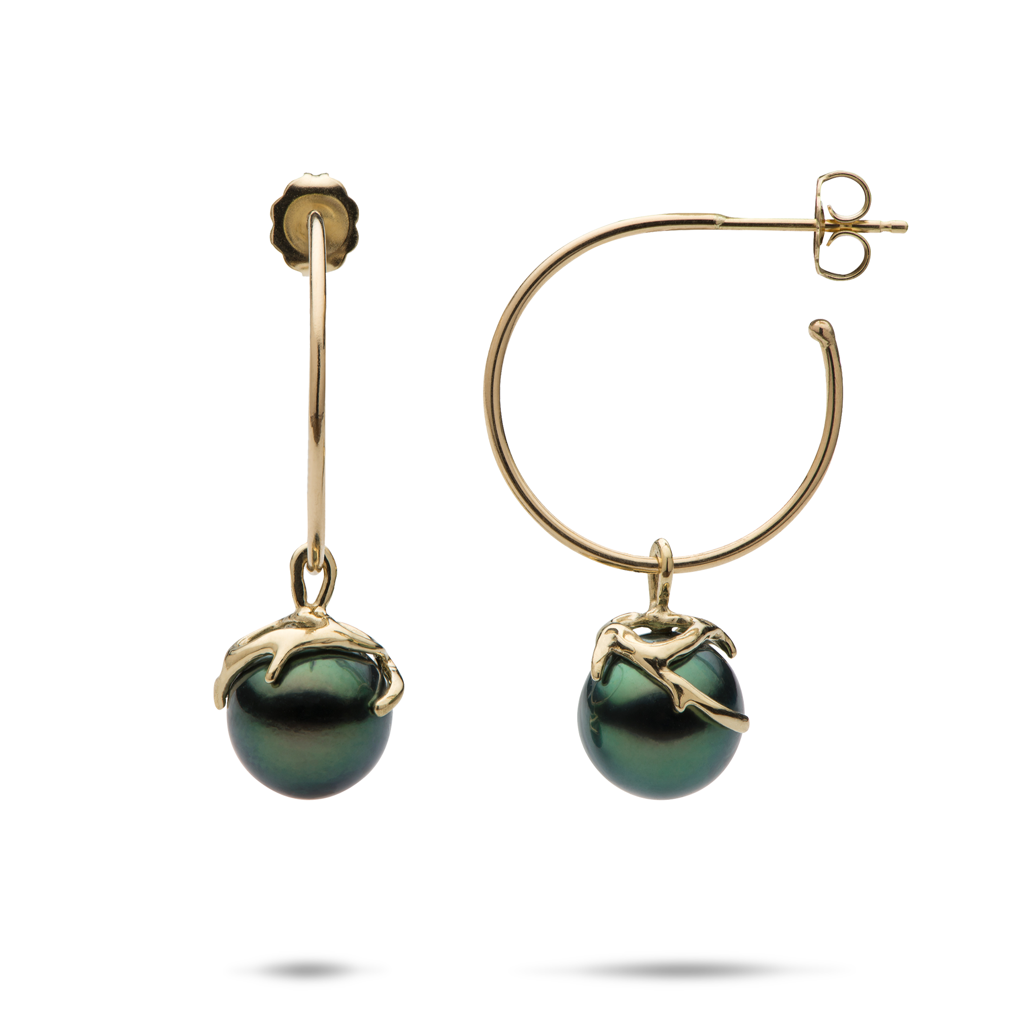 Heritage Tahitian Black Pearl earrings in Gold -9-10mm