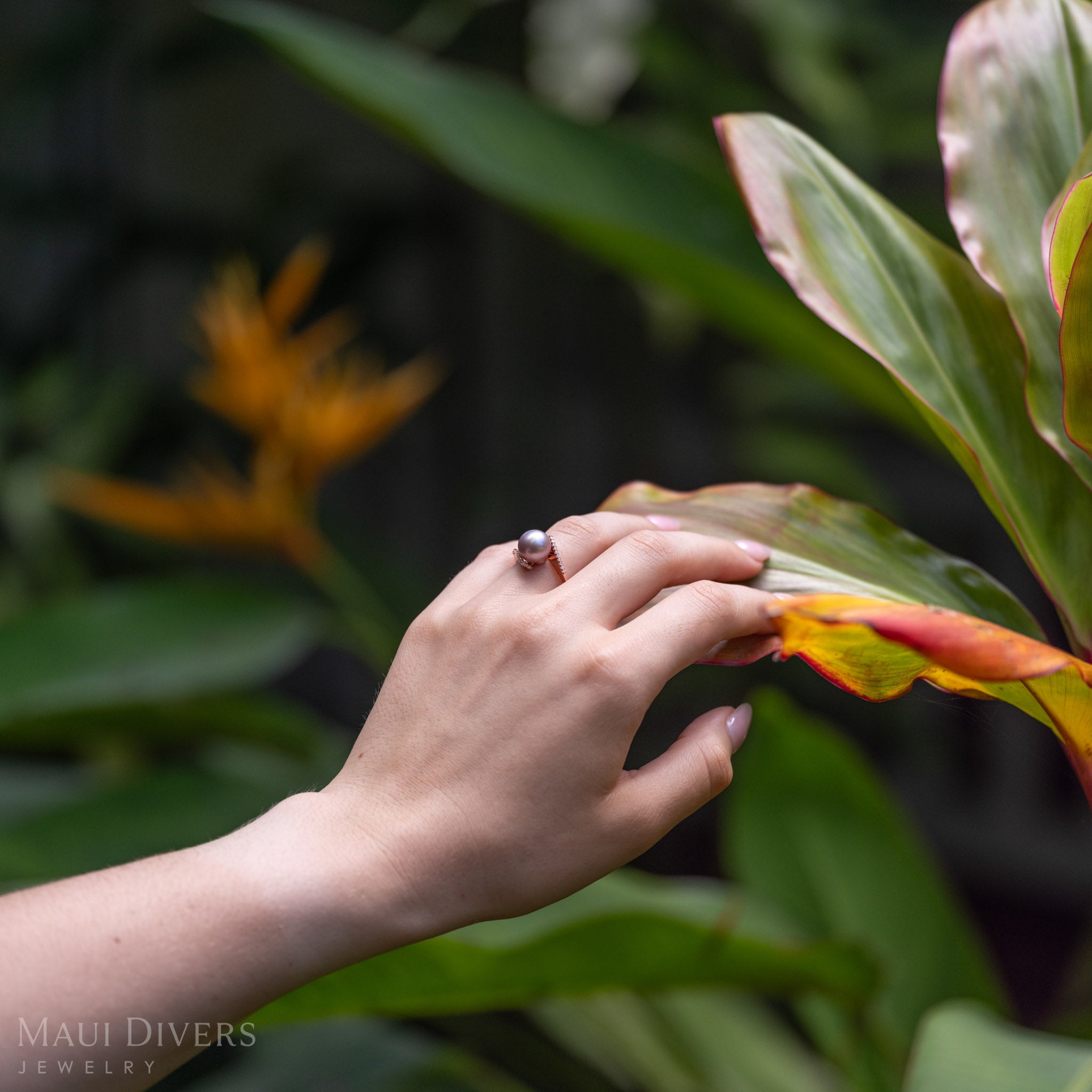 A close-up lifestyle shot of a hand wearing a lavender freshwater pearl ring in 14k rose gold with diamonds gently touching a green and orange tropical plant leaf in a garden setting. 