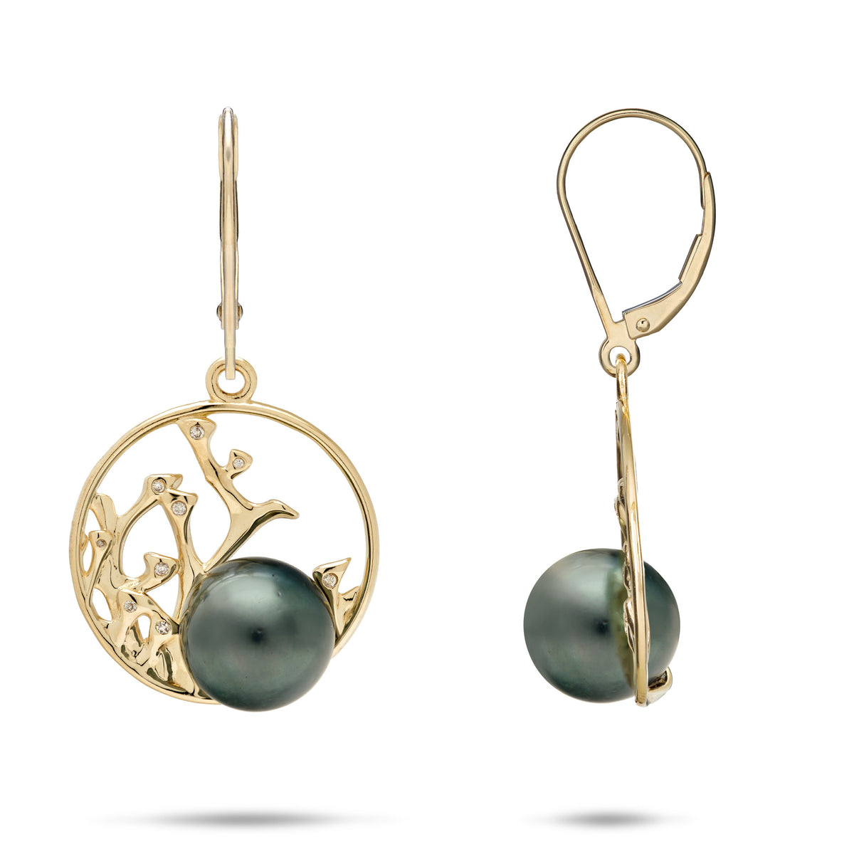 Reefs 20mm circle leverback earrings in 14k gold with coral branch design and diamond detail on the branch tops accented with 9-10mm Tahitian Black Pearls on a white background