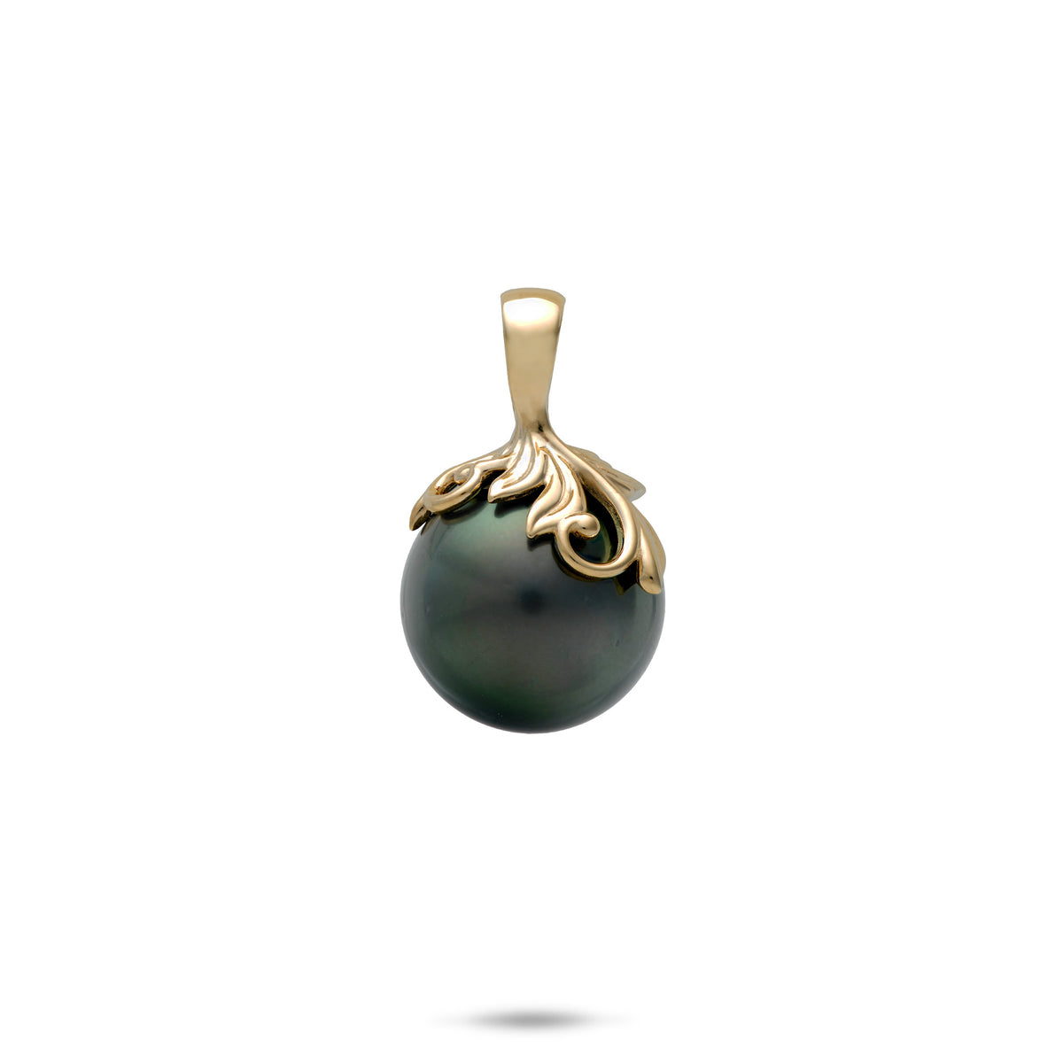 A 14k gold pendant featuring a 12-13mm Tahitian Black Pearl with a maile leaf and hapuʻu fern designed cap against a white background