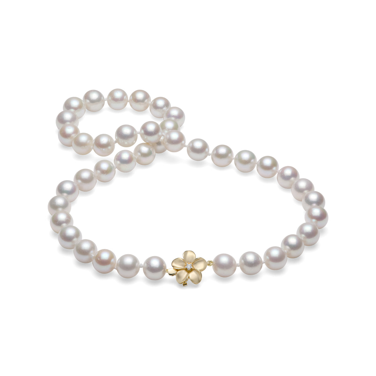A 19-20" graduated 10-11.9mm white freshwater pearl strand with a satin finished bold plumeria clasp with diamond, on a white background