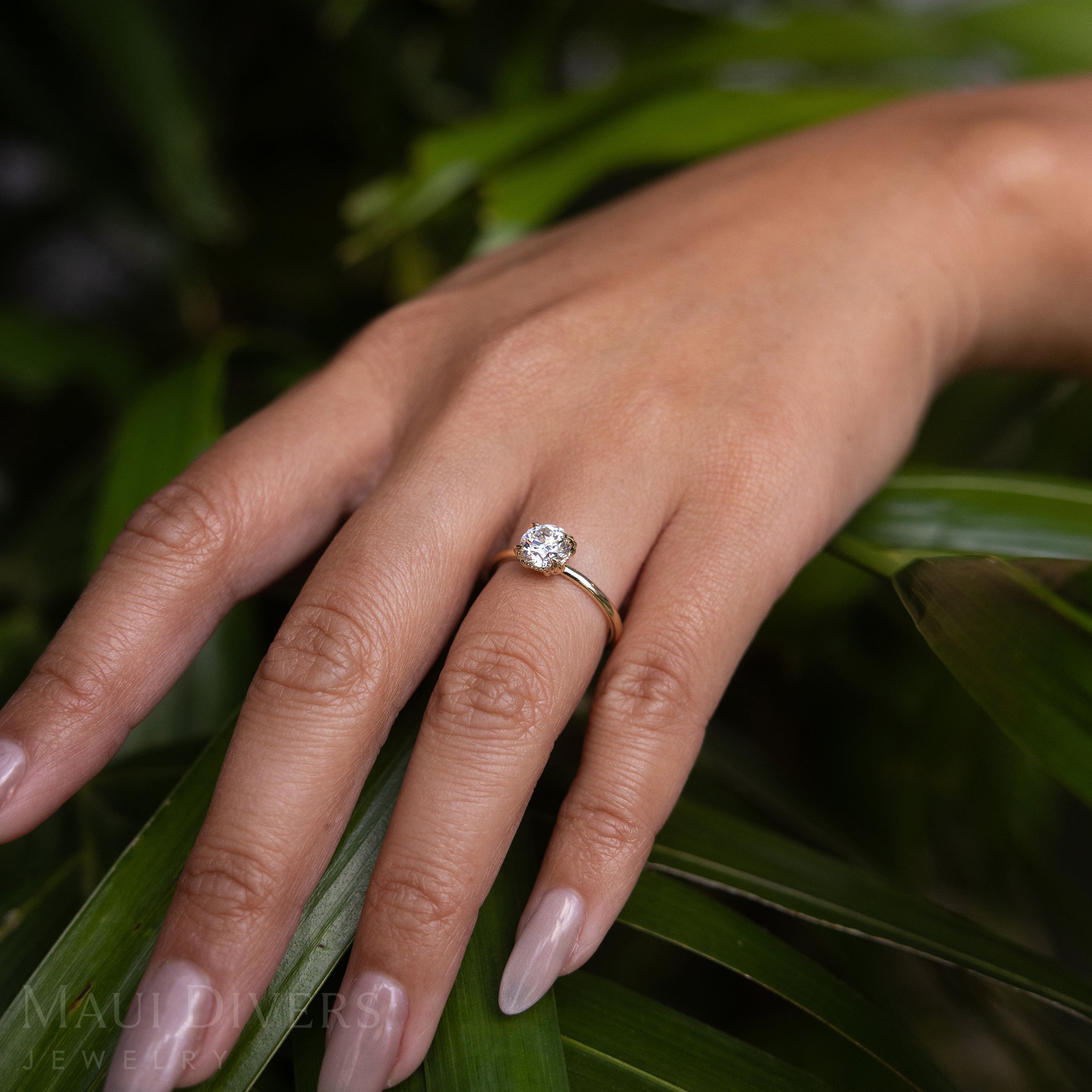 A Woman's Hand Wearing a Hidden Hawaiʻi Maile Ring in 14k Yellow Gold with a Lab Grown Diamond Resting on Green Leaves