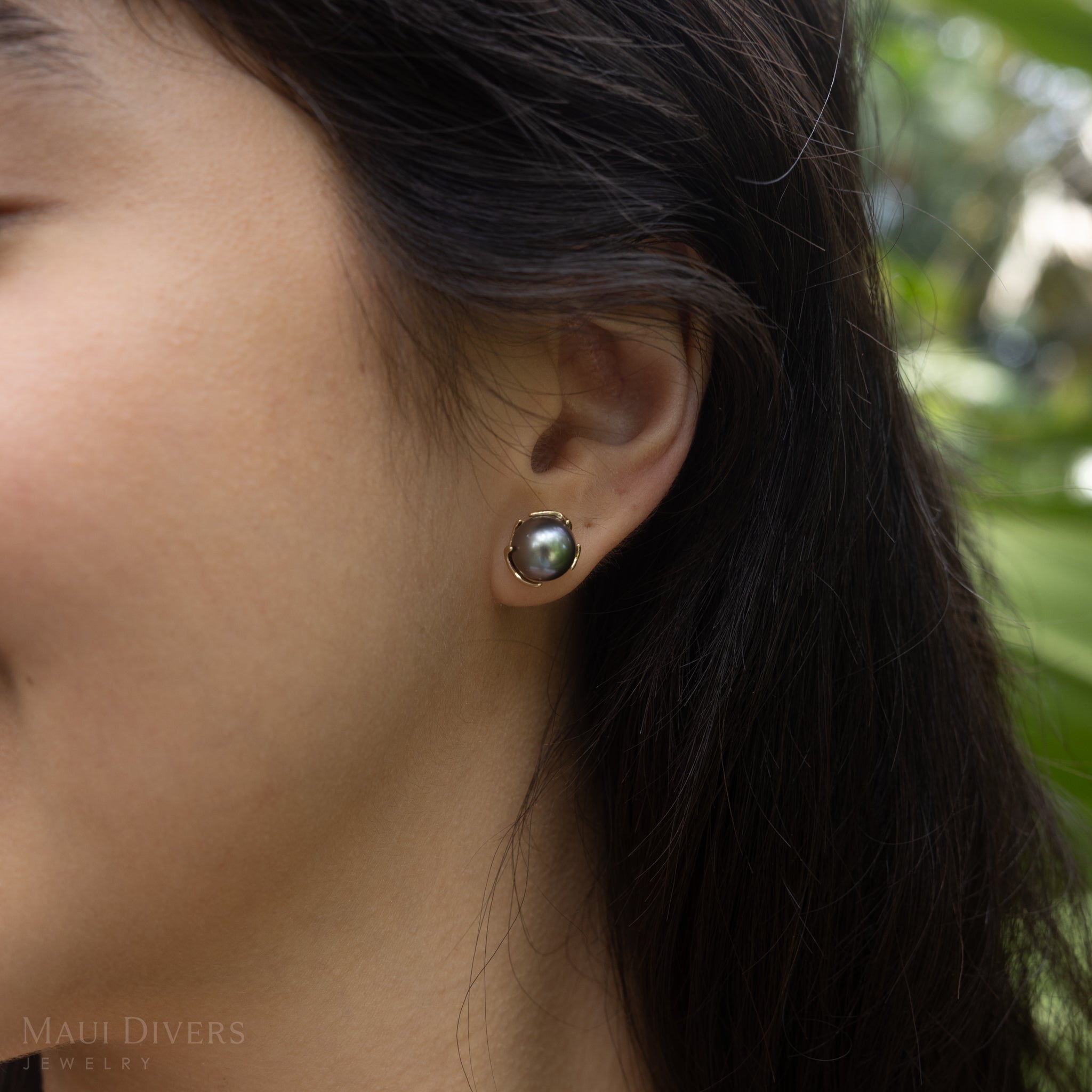 Heritage Tahitian Pearl earrings in Gold -9-10mm