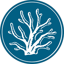 Return or Exchange Shipping with Package Protection