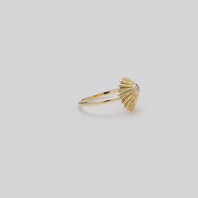 Video showcasing the ʻOpihi Ring in 14k Yellow Gold with Diamond on a turn table